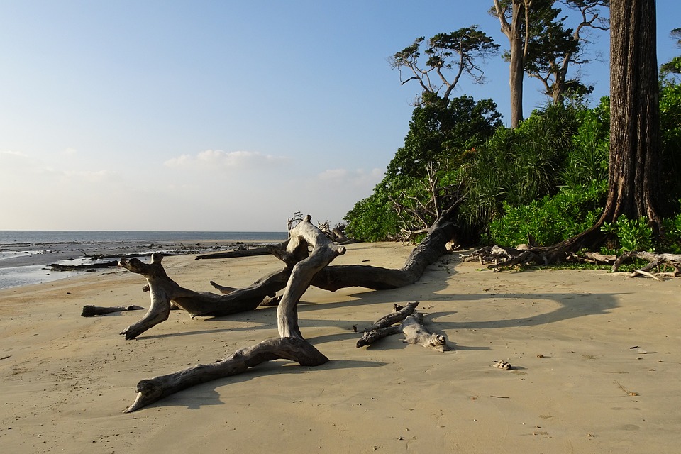 Wandoor Beach